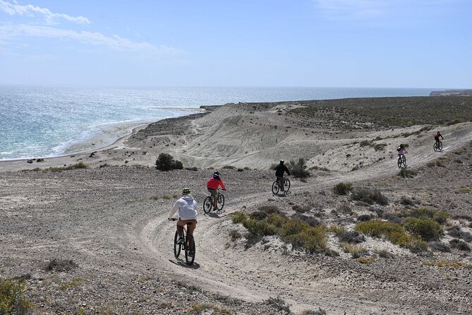 Mountain Biking and Sea Lion Watching in Puerto Madryn - Best Time to Visit