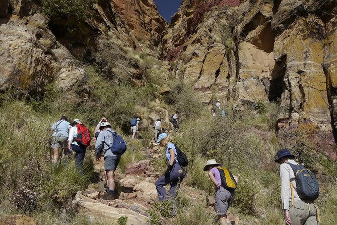Mt Kenya Day Trip Hike From Nairobi (Cost Based on Minimum 2 Persons)