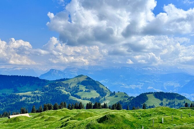 Mt Rigi and Lake of Lucerne Cruise Private Tour From Bürgenstock - Cancellation Policy and Pricing