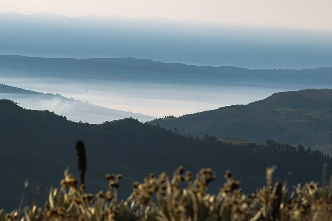 Muisca Yoga and Hike in Neusa Reservoir - Inclusions of the Experience