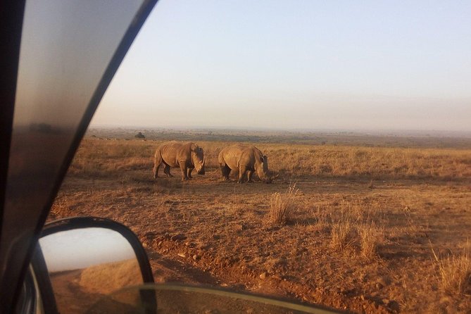 Nairobi 8.a.m Pick Up/mamba Village/elephant Sanctuary/giraffe Centre/nairobi Pk - Nairobi Park Adventure
