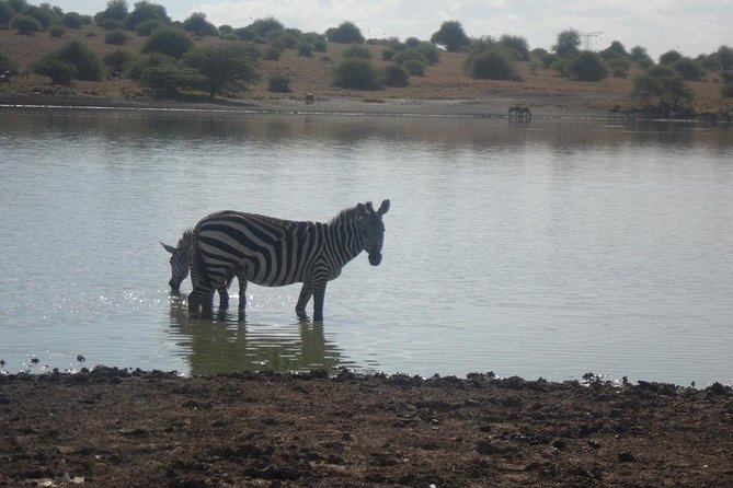 Nairobi Morning Game Drive/elephant Visit/giraffe Centre 6.a.m To 12 Noon - Pickup and Departure Details