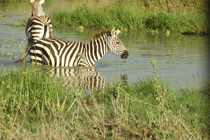 Nairobi National Park Drives - Cancellation Policy