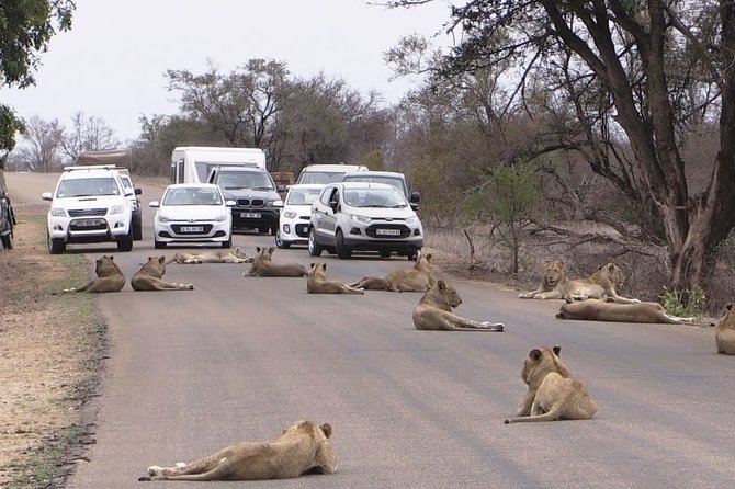 Nairobi National Park Group Joining Daily Tour - Frequently Asked Questions