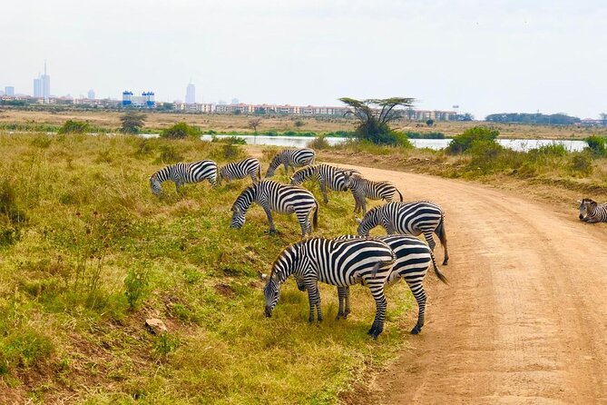 Nairobi National Park Private Day Tour - What To Expect
