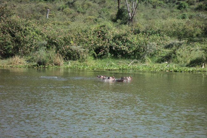Nairobi to Lake Naivasha Day Tour With Crescent Island - Activities on Crescent Island
