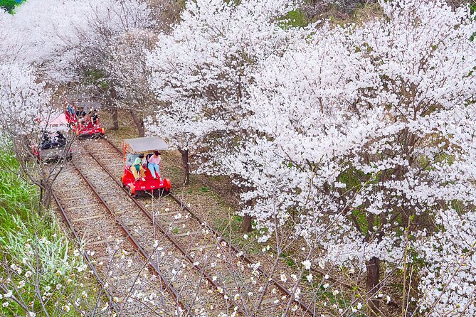 Nami Island/Alpaca/Rail Bike/Petite France/Morning Calm Tour - Frequently Asked Questions
