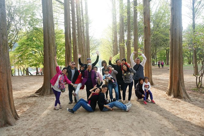 Nami Island From Seoul: Petit France and Garden of Morning Calm - Tour Details