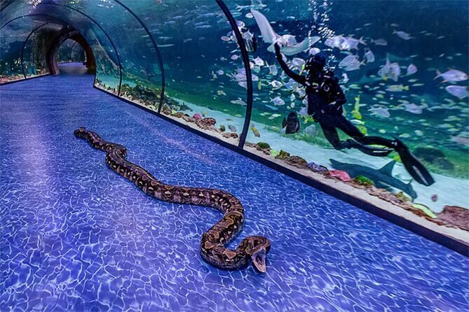 National Aquarium Abu Dhabi Admission Tickets - Additional Information for Visitors