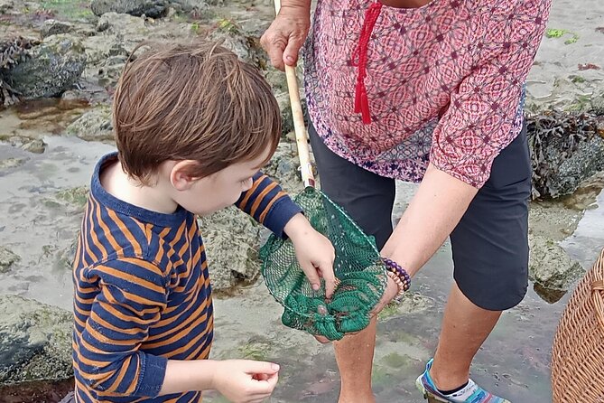 Nature Activity in the Bay of St Brieuc - Operating Hours and Availability