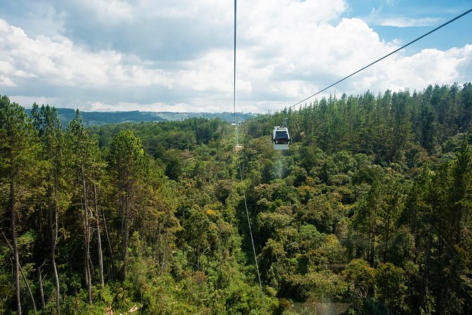 Nature & Transformation Full-Day Tour Medellin - Booking Process