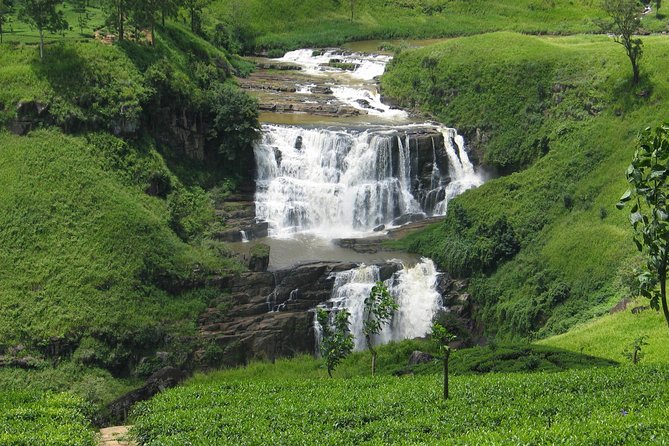 Nature & Wildlife - 10 Days Tour - Day 8: Jungle Trekking