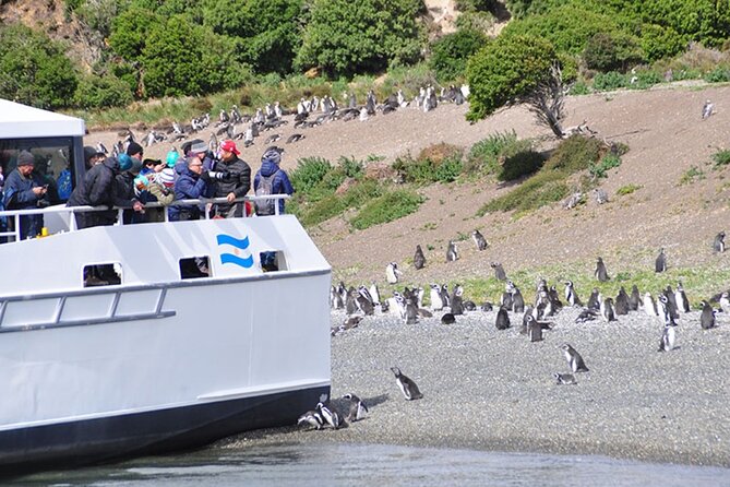 Navigation Through the Beagle Channel to the Penguin Colony - Transfers and Start Time