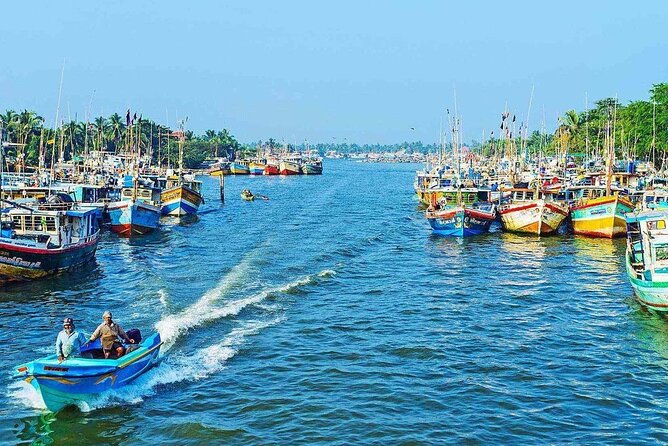 Negombo Lagoon, Dutch Canal and Muthurajawela Wetland Tour From Negombo - Pricing and Booking Information