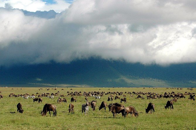 Ngorongoro Crater -Best Safari - Meal Options During Safari