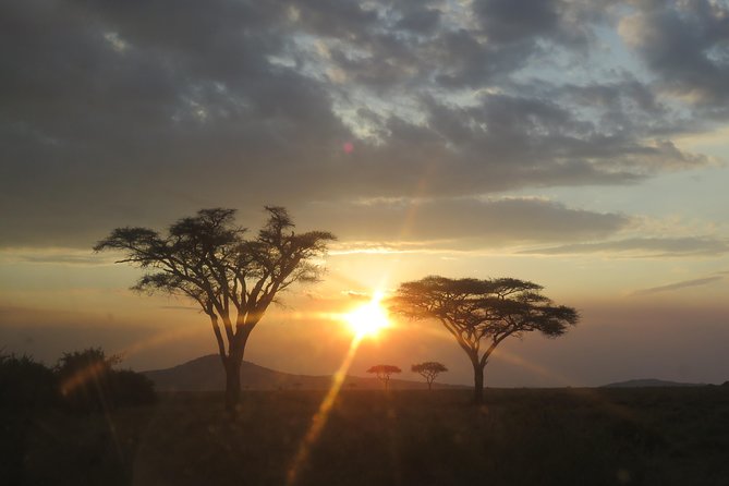 Ngorongoro Crater Day Tour From Moshi - Additional Info