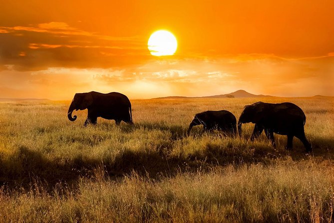 Night Game Tour In Lake Manyara National Park - Transportation and Parking