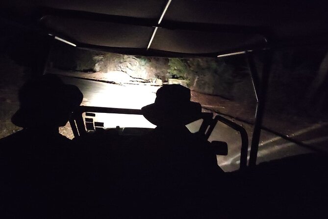 Night Safari Drive With 4x4 Around Vic Falls - Cancellation Policy