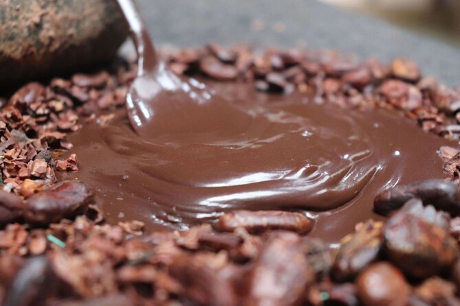 Night Walk Sloth Observatory+ Coffee - Chocolate Tour+ Lunch - Transportation and Pickup Details