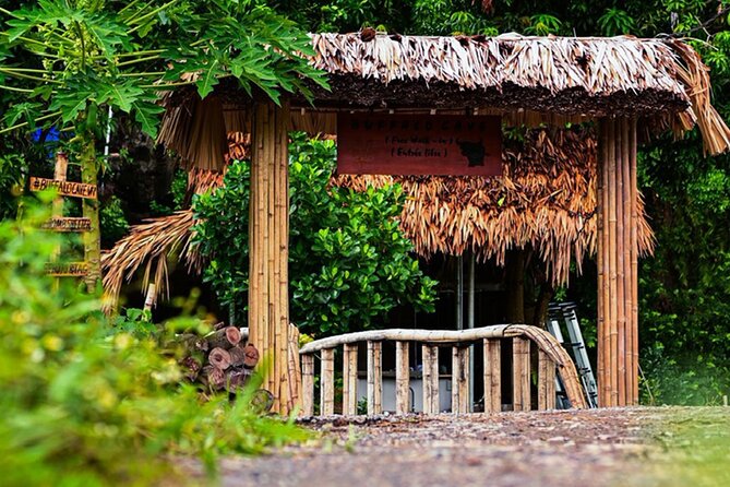 Ninh Binh Cooking Class at Buffalo Cave - Immerse Yourself in Local Culture