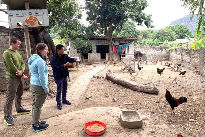 Ninh Binh Day Tour - Tam Coc - Hoa Lu - Group 9 by Limousine - Itinerary Highlights