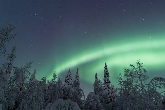Northern Lights Hunting Photo Tour in Ylläs - Maximum Travelers and Guarantee