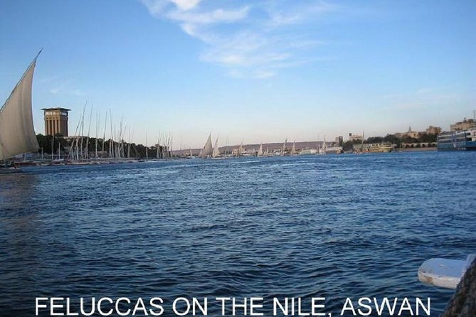 Nubian Village &Botanical Garden Tour With Fellouca Tour From Aswan - Inclusions in the Tour Package