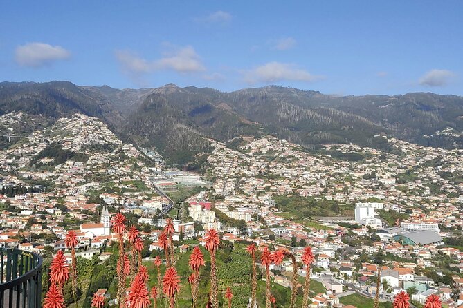 Nuns Valley and Cabo Girão Iconic Views - Meeting and Pickup Information
