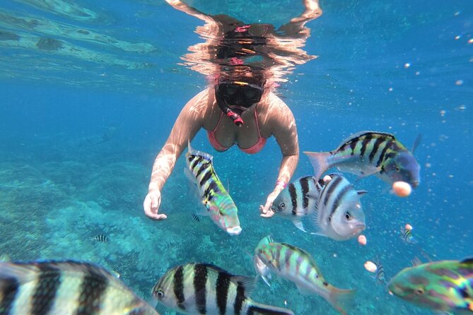 Nusa Penida Full Trip – Snorkeling & Land Tour - Cancellation Policy