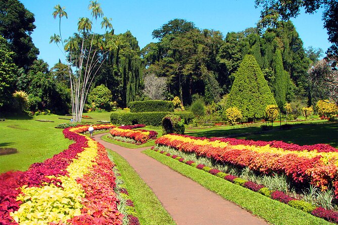 Nuwara Eliya City Tour - Tour Expectations
