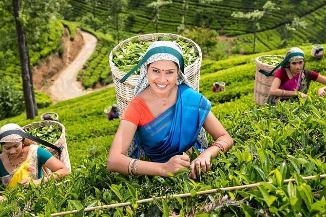 Nuwara Eliya & Kandy | 2 Days Tour - Accessibility Information