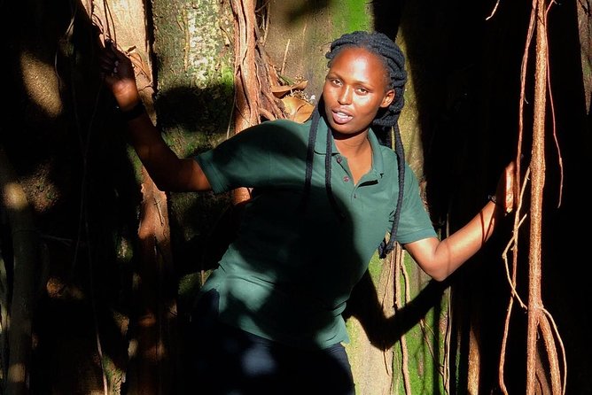 Nyungwe National Park Visit - Pickup Options Available