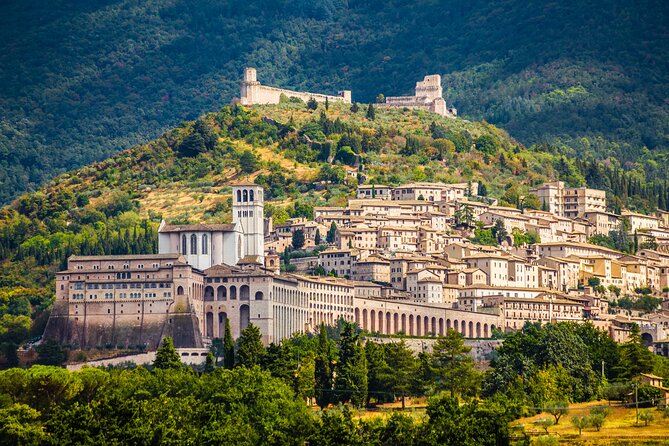 Olive Oil and Wine Museum Visit With Lunch & Assisi Guided Tour - Pricing and Booking