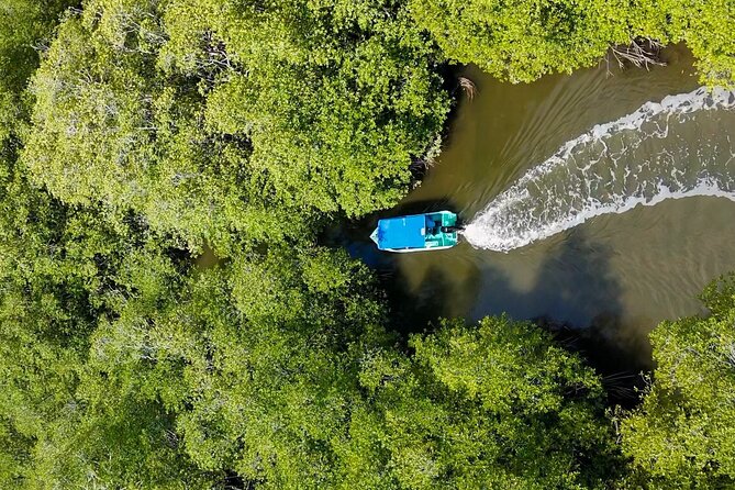 One-Day Adventure in Corcovado National Park - Coffee/Tea at Restaurant Facilities