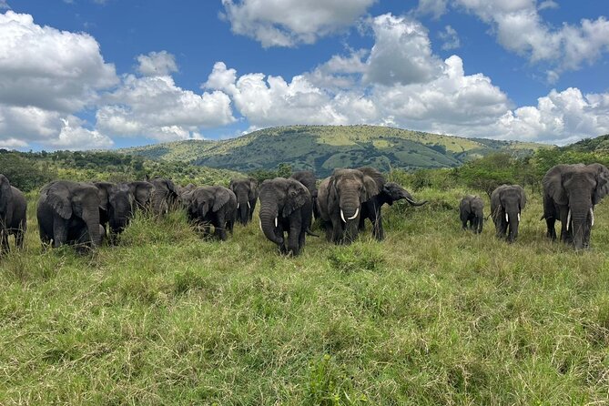 One Day Akagera National Park Safari From Kigali - Tour Guide