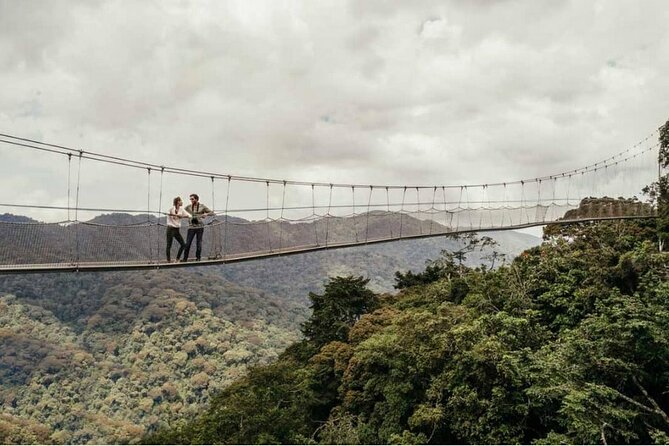 One Day Canopy Private Walk Adventure - Additional Details