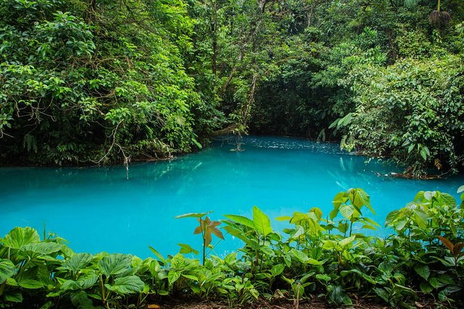 One Day Celestial River From Montverde Round Trip - Health and Accessibility