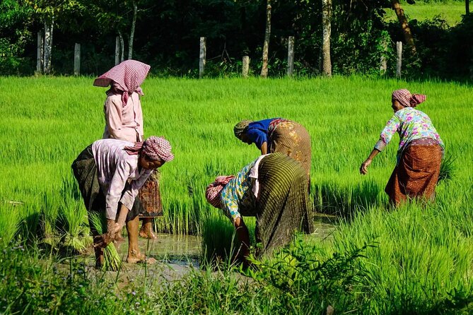 One Day Private Guide Tour Phnom Kulen Adventure Off the Beaten Track - Frequently Asked Questions