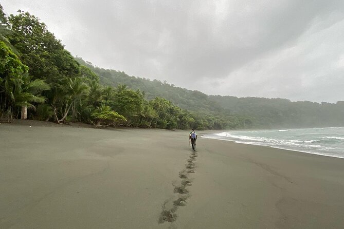 One Day Tour to Corcovado (La Leona Station) From Puerto Jiménez - Cost Breakdown