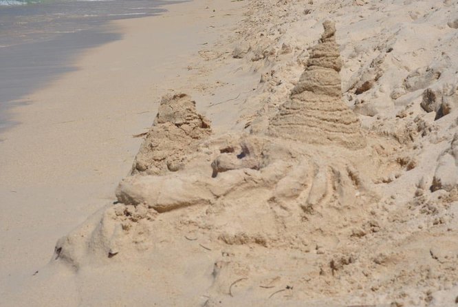 One-Day Tour to Playa Blanca by Land Popular Sector - Price & Booking
