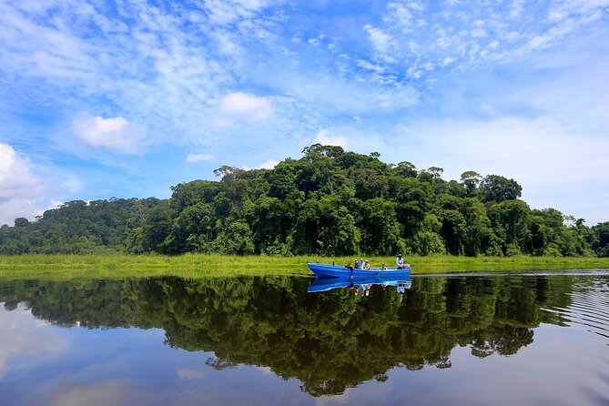 One Day Tour To Térraba-Sierpe Mangrove By Boat From Sierpe - Wildlife Spotting