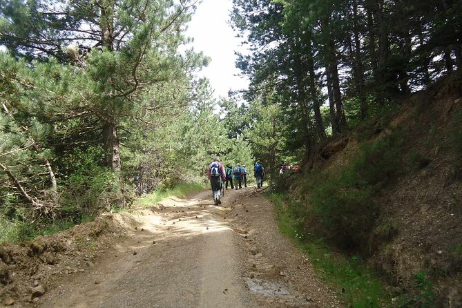 One-Day Tour With Wine and Food Tasting in Northern Kynouria, Arcadia, Greece! - Wine Tasting Experience