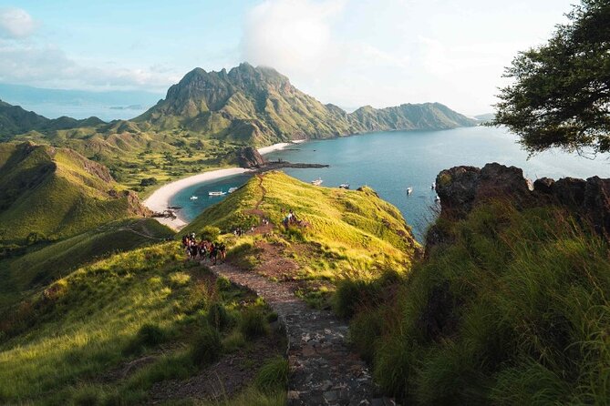 One Day Trip to Komodo National Park, Using a Luxury Fast Boat - Cancellation Policy