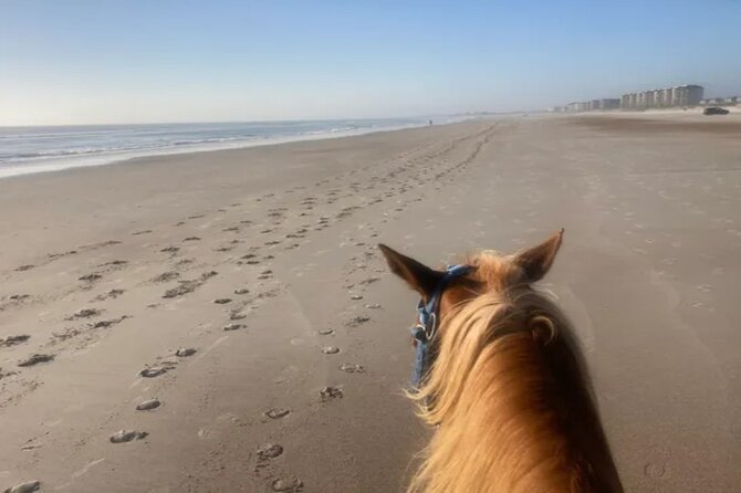 One Hour Horse Riding With Transfer From Hurghada - Location Details