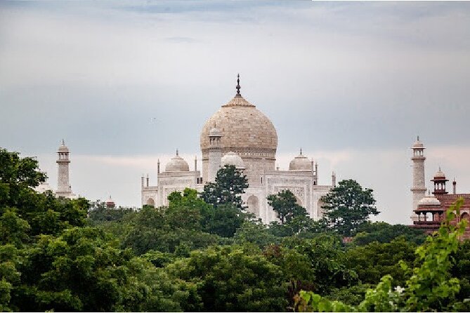 One Hour Yoga Session With View of the Beautiful Taj Mahal - Price and Booking