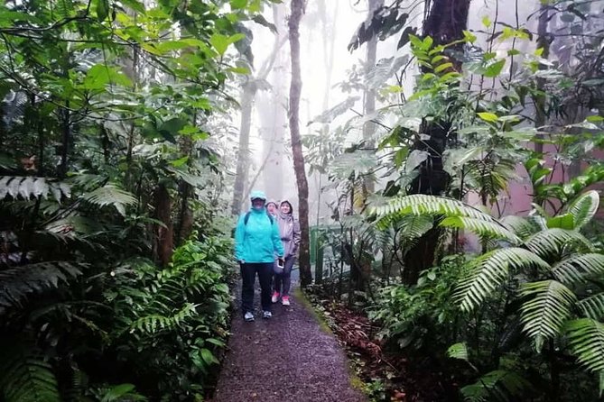 One Way Transfer From Monteverde to Dream Las Mareas up to 5 Passengers. - Booking Directions
