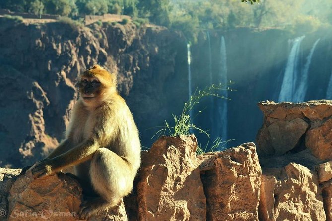 OUZOUD WATERFALLS Small Group Day Tour From Marrakech . - What to Expect