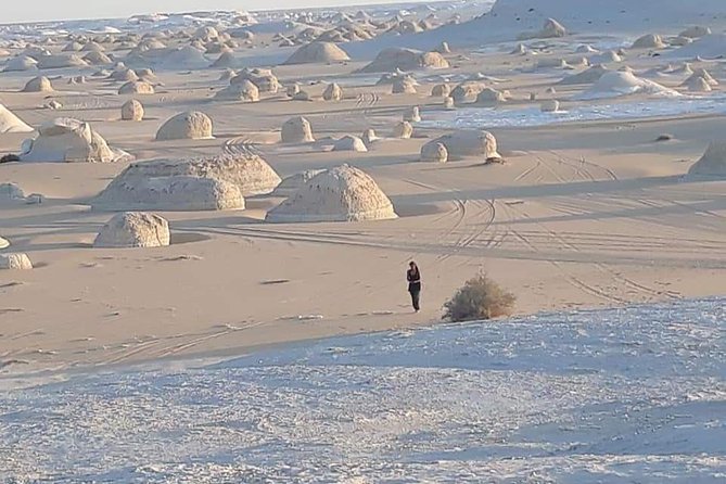 Overnight Tour to Baharyia Oasis (Black&White Desert With Crystal Mountain) - Pricing Information