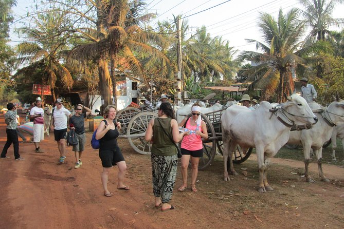 Ox-cart Culture Tour, Countryside Experince in Siem Reap - Tour Highlights