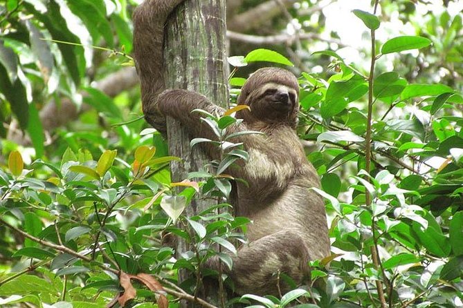 Pacaya Samiria National Park From Tarapoto 5 Days and 4 Nights - Transportation Details